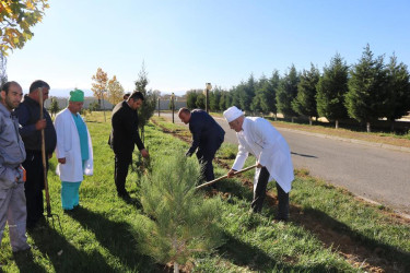 Goranboyda, Yaşıl dünya naminə həmrəylik ili və 8 noyabr Zəfər günü ilə bağlı,  “Təbiəti də sağaldaq” devizi altında ağacəkmə aksiyası keçirildi