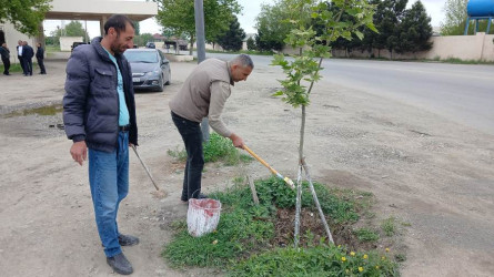 Goranboyda “Şəhərsalma və Memarlıq ili” və beynəlxalq veloyarışa hazırlıq çərçivəsində abadlıq işləri davam etdirilir