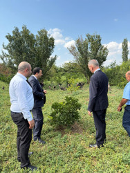 Goranboyda Dövlət Proqramının icrası çərçivəsində müasir suvarma sistemlərinin tətbiqinin və artırılmasının təşviqi istiqamətində maarifləndirici tədbir keçirildi