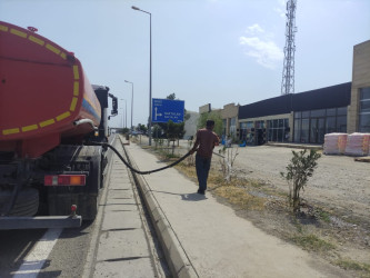 Goranboyda yolkənarı ərazilərin məişət tullantılarından təmizlənməsi işləri aparıldı, ağac və gül kolları suvarıldı