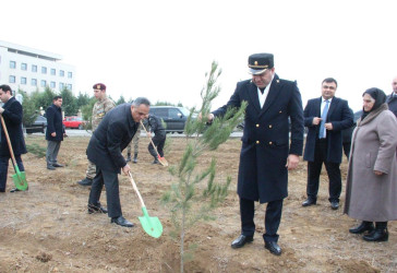 Goranboyda Ümummilli Lider Heydər Əliyevin anım günü ilə bağlı, ağacəkmə aksiyası təşkil olundu