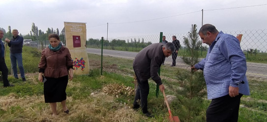 Goranboyda "Konstitusiya və Suverenlik ili" ilə bağlı,  ağacəkmə aksiya keçirildi
