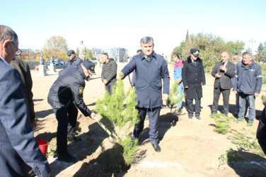 Goranboyda,  “8 noyabr Zəfər Günü” və  “Yaşıl dünya naminə həmrəylik ili“  ilə bağlı,  ağacəkmə aksiyası təşkil olundu