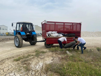 Goranboyda növbəti iməcilik keçirildi,  yolətrafı ərazilərdə abadlıq, təmizlik işləri aparıldı, yeni salınmış yaşıllıq zolaqlarına aqrotexniki qulluq göstərildi