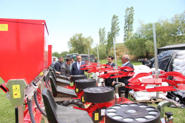 Goranboyda tütünçülüyün inkişafına əlverişli şərait yaradılıb