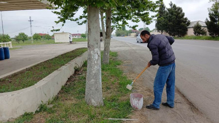 Goranboyda “Şəhərsalma və Memarlıq ili” və beynəlxalq veloyarışa hazırlıq çərçivəsində abadlıq işləri davam etdirilir