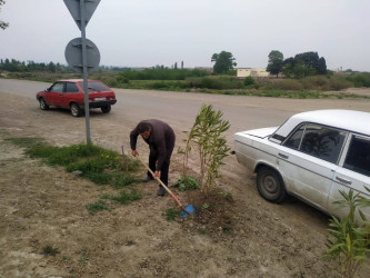 Goranboyda növbəti iməcilik keçirildi,  yolətrafı ərazilərdə abadlıq, təmizlik işləri aparıldı, yeni salınmış yaşıllıq zolaqlarına aqrotexniki qulluq göstərildi