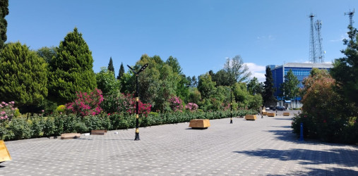 Goranboyda genişmiqyaslı abadlıq və yenidənqurma işləri davam etdirilir