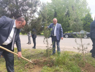 Goranboyda “Şəhərsalma və Memarlıq İli” çərçivəsində Ümummilli Lider Heydər Əliyevin anadan olmasının 103-cü ildönümü ilə bağlı ağacəkmə aksiyası keçirildi