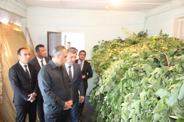 Goranboyda baramaçılığın inkişafı istiqamətində işlər davam etdirilir
