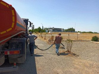 Goranboyda yeni salınmış yaşıllıq zolaqlarına aqrotexniki qulluq işləri davam etdirilir. Bu məqsədlə, ağacların növbəti suvarılması işləri görülür.