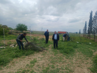 Goranboy rayonunda "Şəhərsalma və Memarlıq ili" çərçivəsində qanunsuz zəbt olunmuş torpaq sahələrindəki hasarların sökülməsi işləri davam etdirilir
