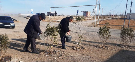 Goranboyda yeni salınmış yaşıllıq zolaqlarına aqrotexniki qulluq işləri davam etdirilir