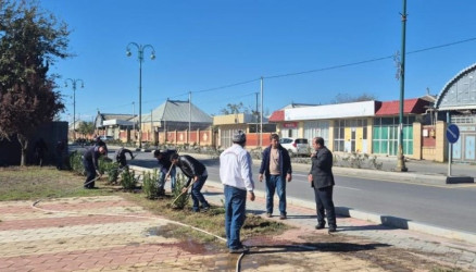 Goranboy  şəhərində,  "Yaşıl dünya naminə həmrəylik ili" çərçivəsində, növbəti ağacəkmə aksiyası həyata keçirildi.