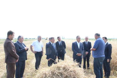 Goranboyda aqrar sahədə görülən işlər diqqət mərkəzindədir