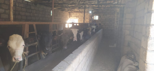 Goranboy rayonunun Muzdurlar kəndində 2026–2030-cu illər üçün Dövlət Proqramının icrası ilə bağlı marifləndirici görüş keçirildi