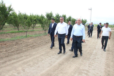 Goranboyda aqrar sahənin inkişafı istiqamətində görülən işlərlə tanışlıq davam edir