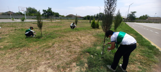 "Yaşıl dünya naminə həmrəylik ili" ilə bağlı Dəliməmmədli şəhər tam orta məktəbində tədbir keçirildi.