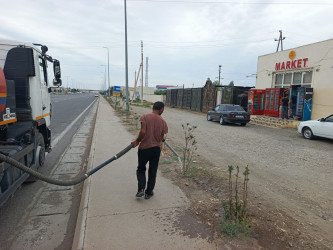 Goranboyda yol kənarında ağaclar suvarıldı, məişət tullantıları təmizləndi
