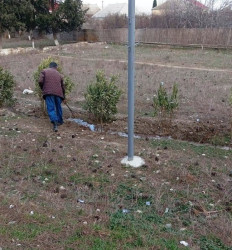 Goranboyda yeni salınmış yaşıllıq zolaqlarına aqrotexniki qulluq işləri davam etdirilir