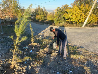 Goranboyda, "Yaşıl dünya naminə həmrəylik ili" ilə bağlı, yeni yaşıllıq zolaqlarının salınması, mövcud infrastrukturun genişləndirilməsi və aqrotexniki qulluğun göstərilməsi işləri davam etdirilir.