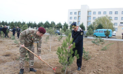 Goranboyda Ümummilli Lider Heydər Əliyevin anım günü ilə bağlı, ağacəkmə aksiyası təşkil olundu
