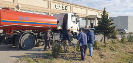 Goranboyda, "Yaşıl dünya naminə həmrəylik ili" ilə bağlı, yeni salınmış yaşıllıq zolaqlarına aqrotexniki qulluğun göstərilməsi işləri davam etdirilir.