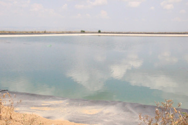 Goranboyda aqrar sahənin inkişafı istiqamətində görülən işlərlə tanışlıq davam edir