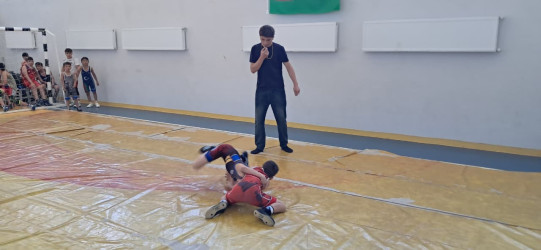 Goranboy rayonunda sərbəst güləş idman növü üzrə turnir keçirildi