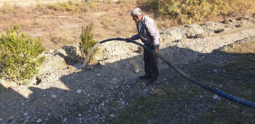 Goranboyda, "Yaşıl dünya naminə həmrəylik ili" ilə bağlı, yeni salınmış yaşıllıq zolaqlarına aqrotexniki qulluğun göstərilməsi işləri davam etdirilir.