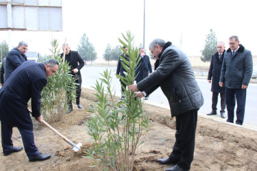 Goranboyda,  Ümummilli Liderimiz Heydər Əliyevin Anım Günü ilə bağlı,  ağacəkmə aksiyası keçirildi