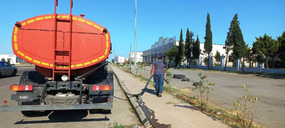 Goranboyda yeni salınmış yaşıllıq zolaqlarına aqrotexniki qulluq işləri davam etdirilir. Bu məqsədlə, ağacların növbəti suvarılması işləri görülür.