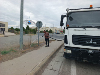 Goranboyda yol kənarında ağaclar suvarıldı, məişət tullantıları təmizləndi