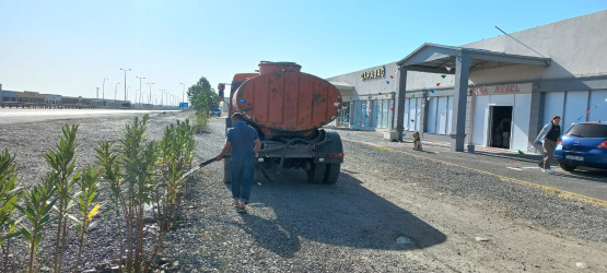 Goranboyda yeni salınmış yaşıllıq zolaqlarına aqrotexniki qulluq işləri davam etdirilir
