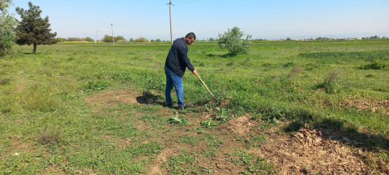 Goranboy rayonunda "Şəhərsalma və Memarlıq ili" çərçivəsində abadlıq və təmizlik işləri davam etdirilir
