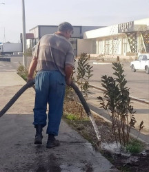 Goranboyda yeni salınmış yaşıllıq zolaqlarına aqrotexniki qulluq işləri davam etdirilir