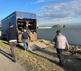 Goranboyda, "Yaşıl dünya naminə həmrəylik ili" çərçivəsində həyata keçirilən kütləvi ağacəkmə  aksiyasına  Borsunlu və Nadirkənd kəndlərinin sakinləri də fəal qoşuldular.