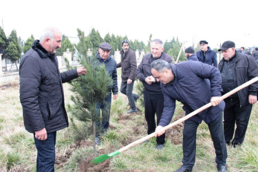 Yaşıl  dünya naminə, Goranboyumuzu  daha da yaşıllaşdıraq və qoruyaq !