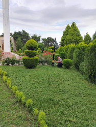 Goranboyda abadlıq və yenidənqurma işləri davam etdirilir