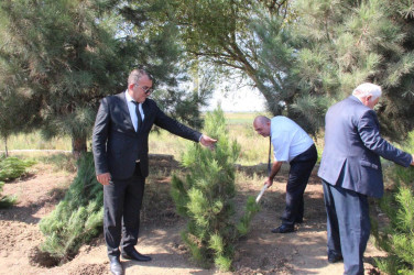 Goranboyda  “27 sentyabr –Anım Günü” ilə bağlı ağacəkmə aksiyası keçirildi