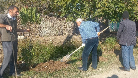 Goranboyda  "Yaşıl dünya naminə həmrəylik ili"  çərçivəsində, növbəti ağacəkmə aksiyası həyata keçirildi.