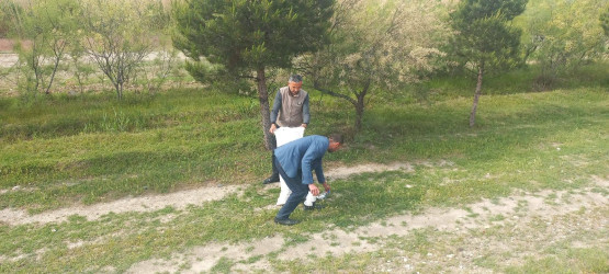 Goranboyda növbəti iməcilik keçirildi,  yolətrafı ərazilərdə abadlıq, təmizlik işləri aparıldı, yeni salınmış yaşıllıq zolaqlarına aqrotexniki qulluq göstərildi