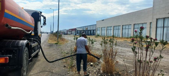 Goranboyda yeni salınmış yaşıllıq zolaqlarına aqrotexniki qulluğun göstərilməsi işləri davam etdirilir