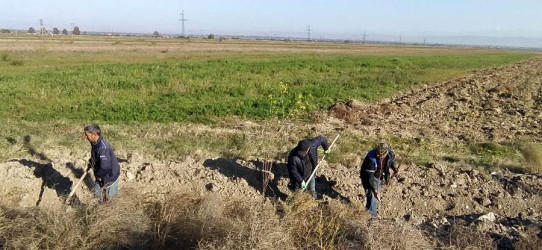 Goranboyda,   "Yaşıl dünya naminə həmrəylik ili" ilə bağlı, yeni yaşıllıq zolaqlarının salınması və mövcud infrastrukturun genişləndirilməsi işləri davam etdirilir.