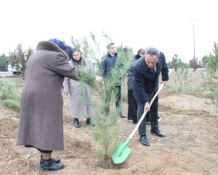 Goranboyda Ümummilli Lider Heydər Əliyevin anım günü ilə bağlı, ağacəkmə aksiyası təşkil olundu
