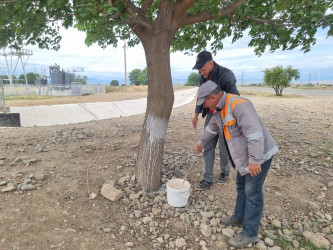 Goranboyda abadlıq və yenidənqurma işləri davam etdirilir