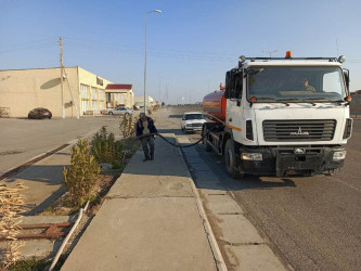 Goranboyda yeni salınmış yaşıllıq zolaqlarına aqrotexniki qulluq işləri davam etdirilir