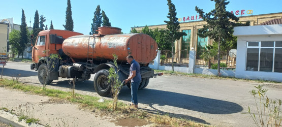 Goranboyda yeni salınmış yaşıllıq zolaqlarına aqrotexniki qulluq işləri davam etdirilir