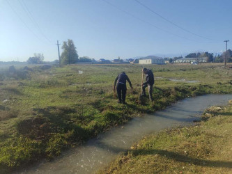 Goranboyda,   "Yaşıl dünya naminə həmrəylik ili" ilə bağlı, yeni yaşıllıq zolaqlarının salınması və mövcud infrastrukturun genişləndirilməsi işləri davam etdirilir.