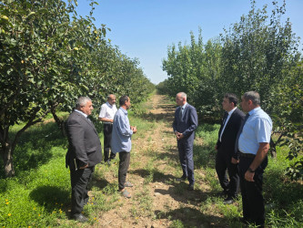 Goranboyda Dövlət Proqramının icrası çərçivəsində müasir suvarma sistemlərinin tətbiqi mövzusunda maarifləndirici görüş keçirildi